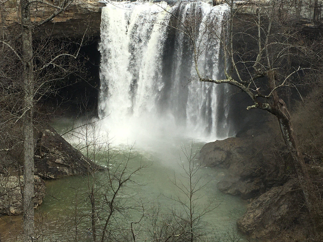 Noccalula Falls Park & Campground景点图片