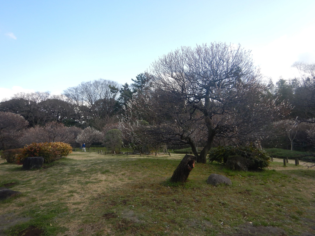 Koshigaya Bairin Park景点图片