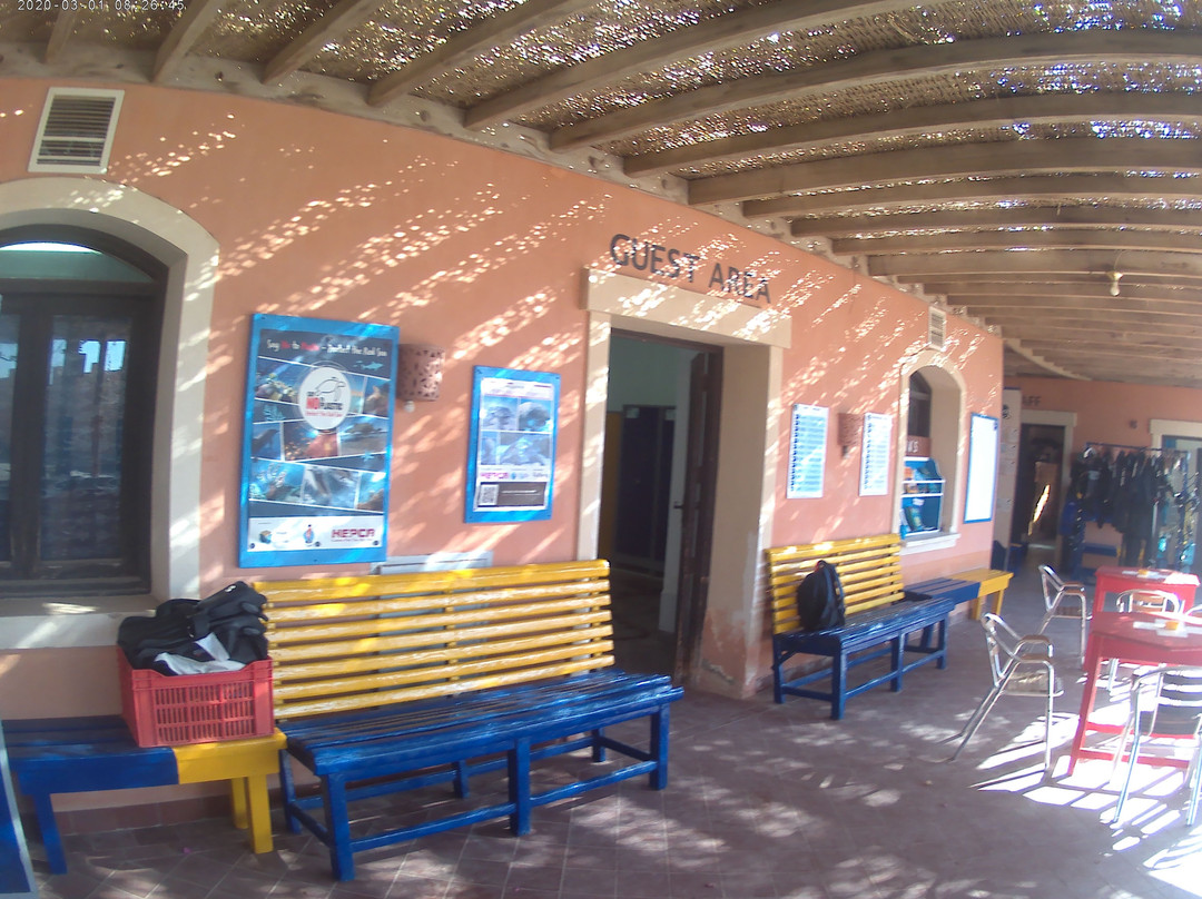 SUBEX El Quseir-艾尔可西利亚必去景点