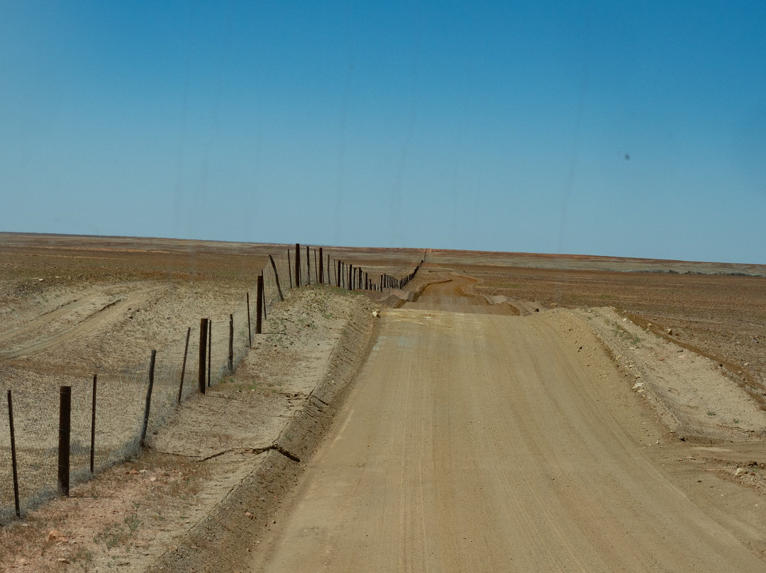 Kanku - Breakaways Conservation Park-库伯佩迪必去景点