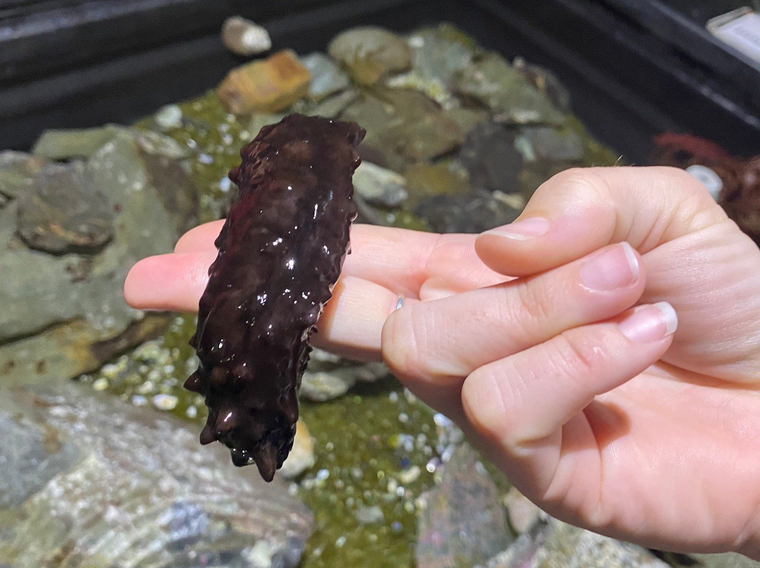 EcoWorld Aquarium & Wildlife Rehabilitation Centre景点图片