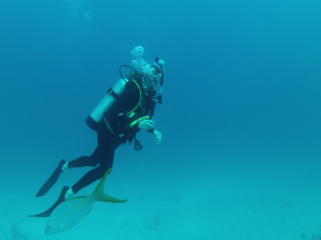 Melia Cayo Coco Diving Center景点图片