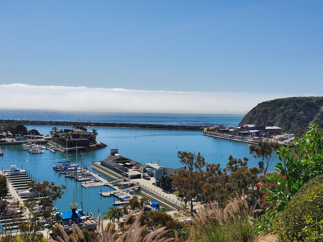 Bluff Top Trail-德纳角必去景点
