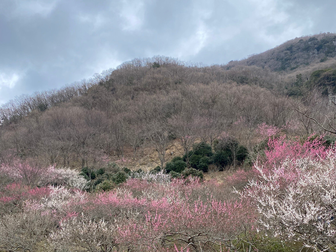 Makuyama Park-汤河原町必去景点