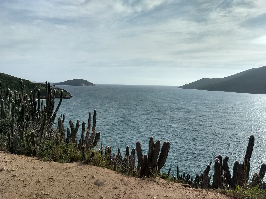 Pedra Perfil do Gorila-阿拉伊阿尔港必去景点