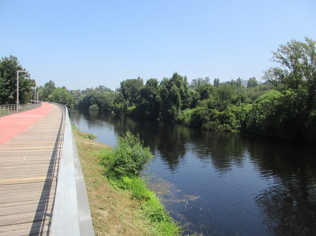 Passeio das Margens do Ave景点图片