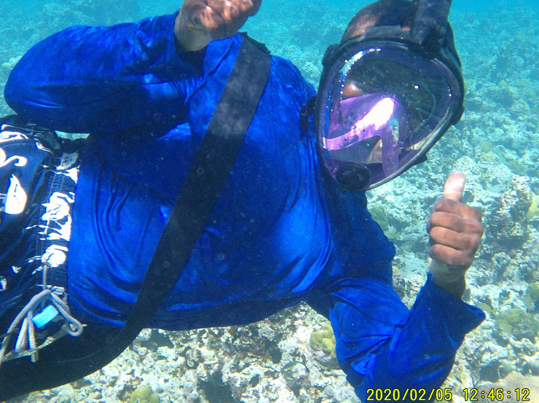 no longer available..................-Jolly Harbour必去景点