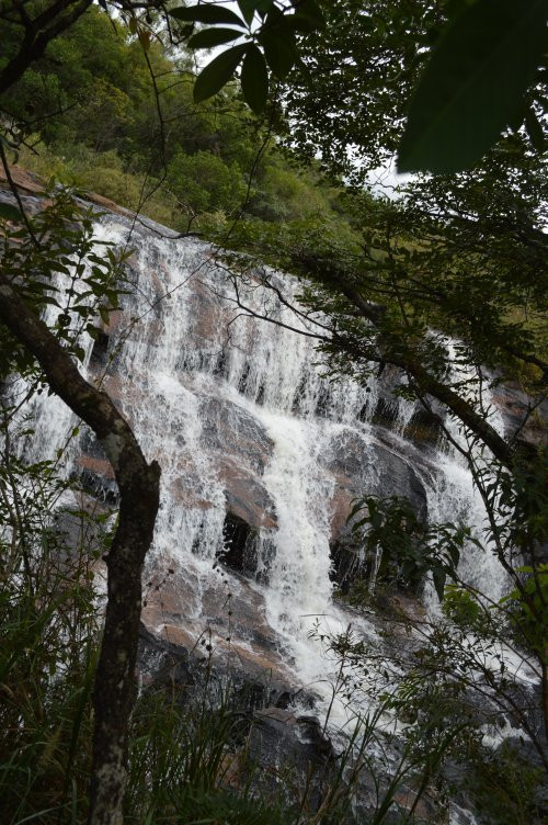 Parque Estadual do Cerrado景点图片