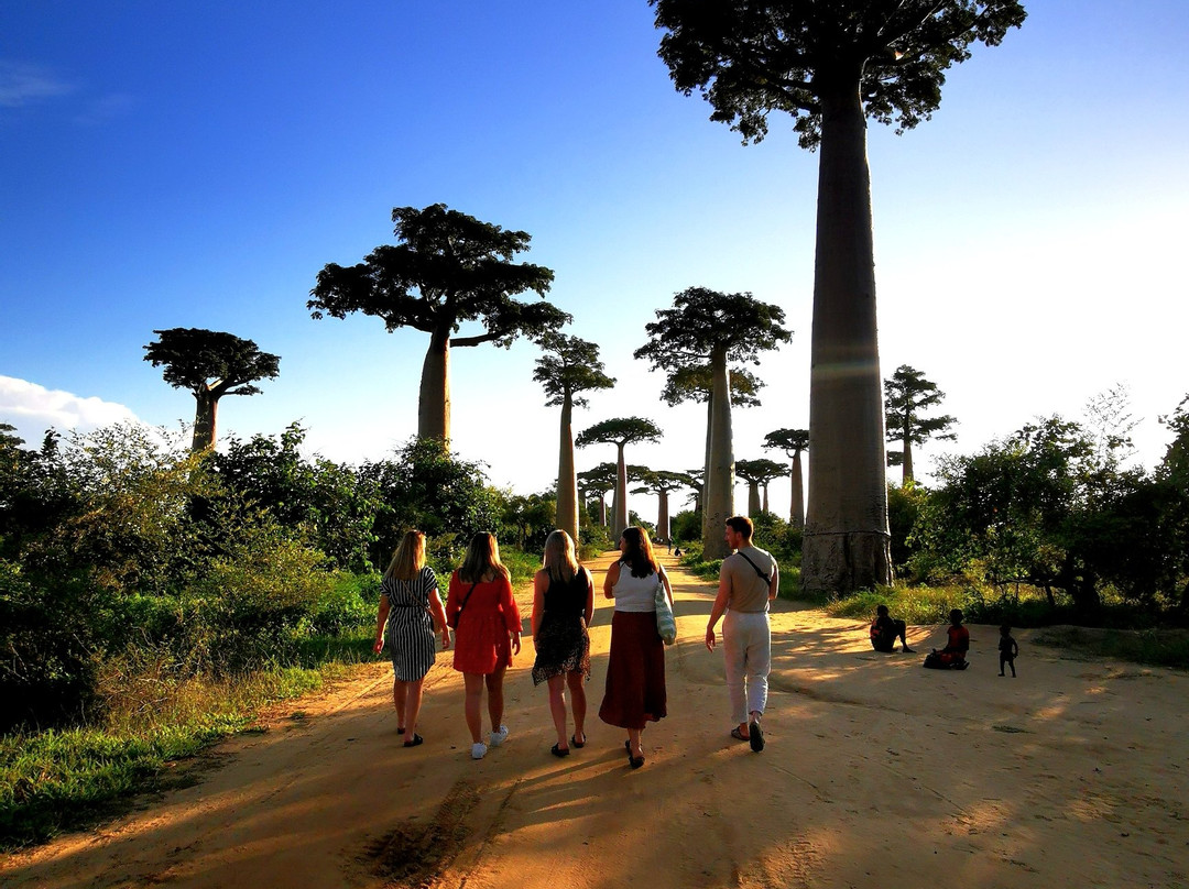 Madagascar Magic Tours景点图片
