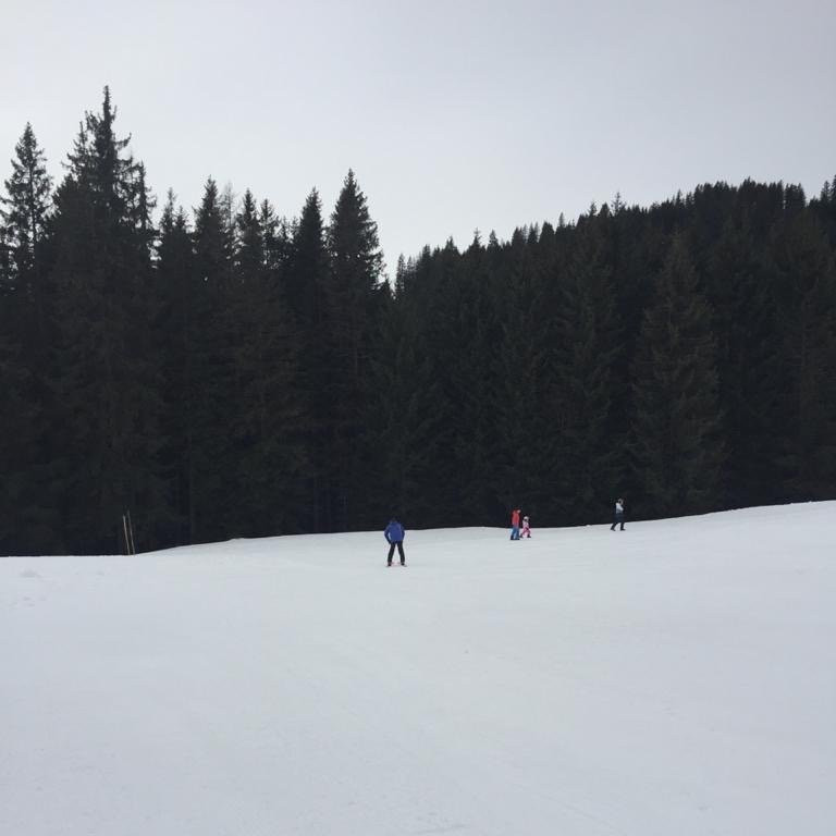 New Schmittenhohe Mountain Paths-采尔湖畔必去景点