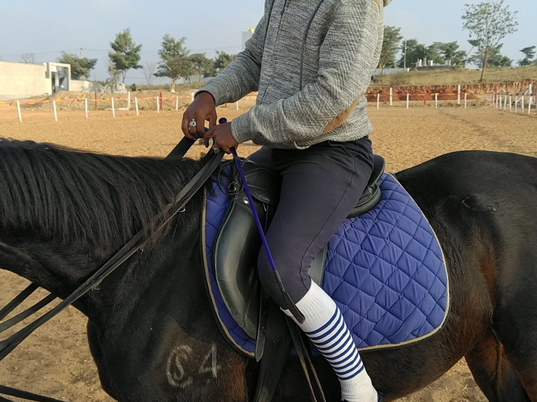 Stallions Valley Horse Riding Academy景点图片