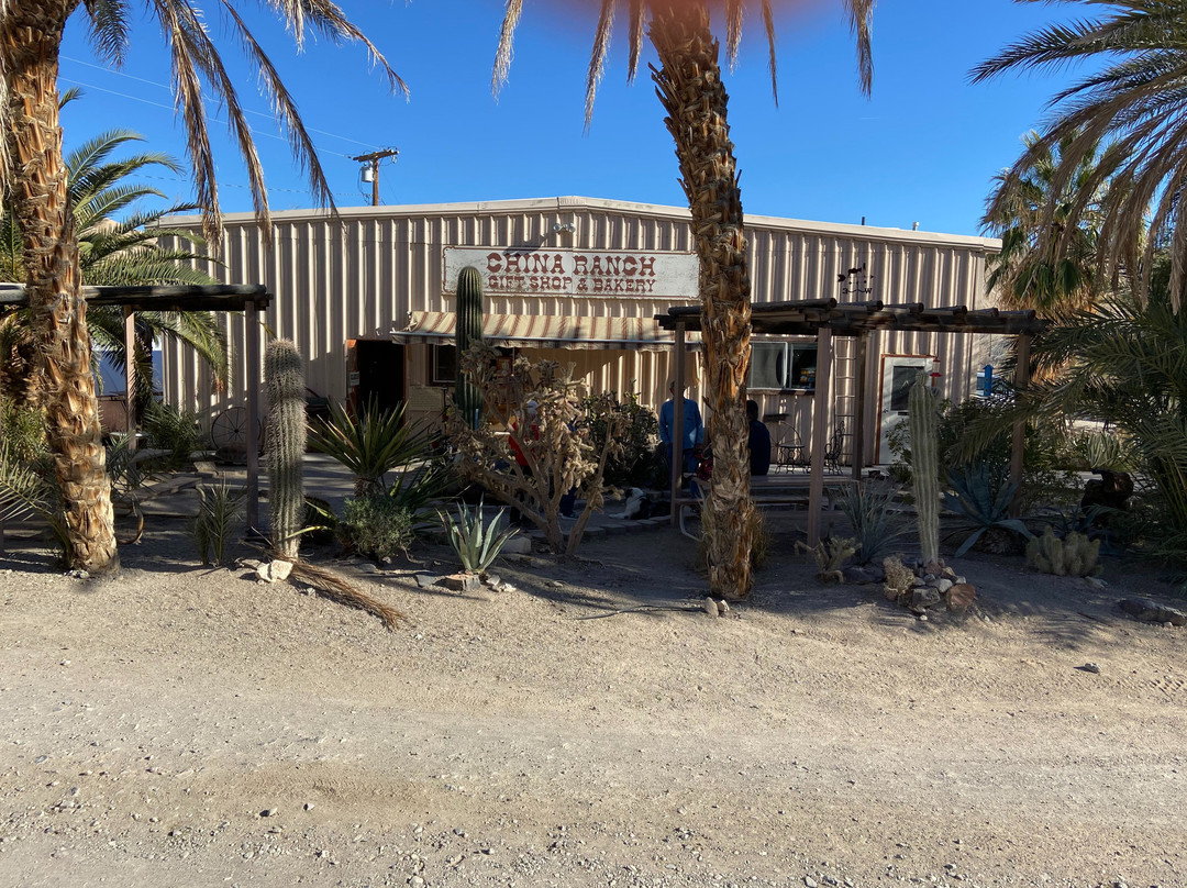 China Ranch Date Farm-Tecopa必去景点