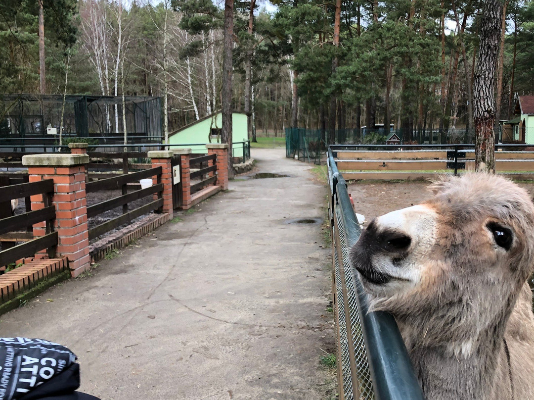 Freizeitpark Wendisch Rietz-Wendisch Rietz必去景点