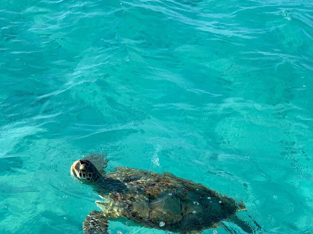 Jolly Hall Beach-George Town必去景点