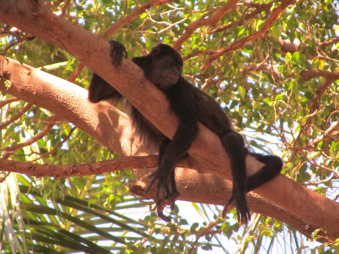 Sueno del Mar Beachfront Bed & Breakfast主图
