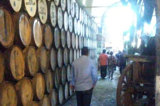 Tours Tequilarte-瓜达拉哈拉必去景点