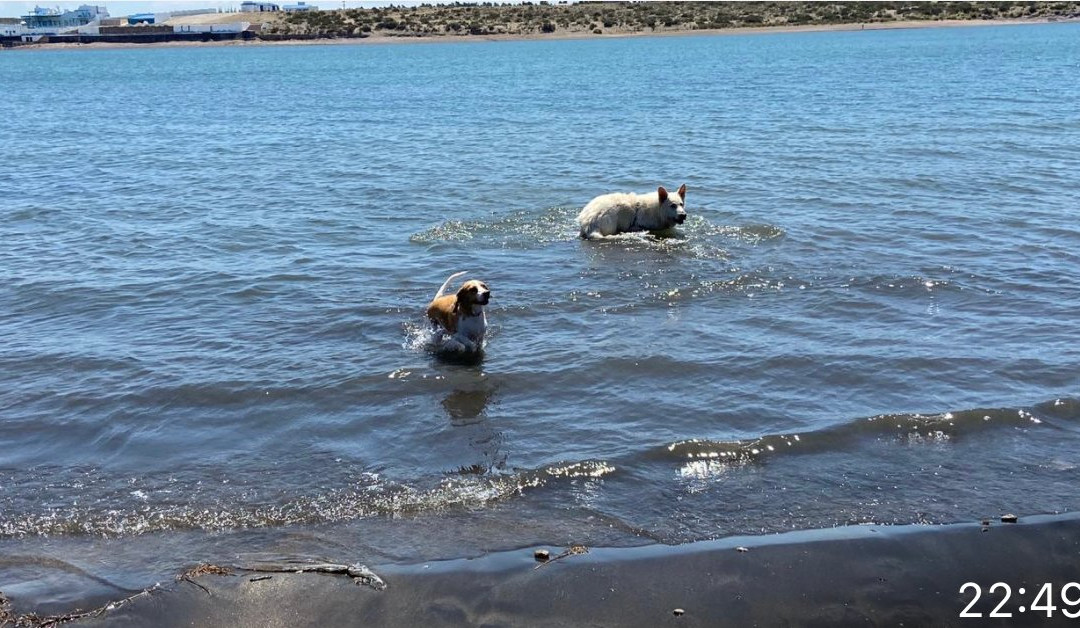 Villa El Nihuil-El Nihuil必去景点