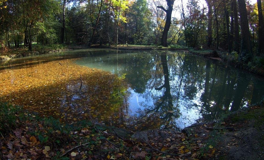 Parco del Neto景点图片