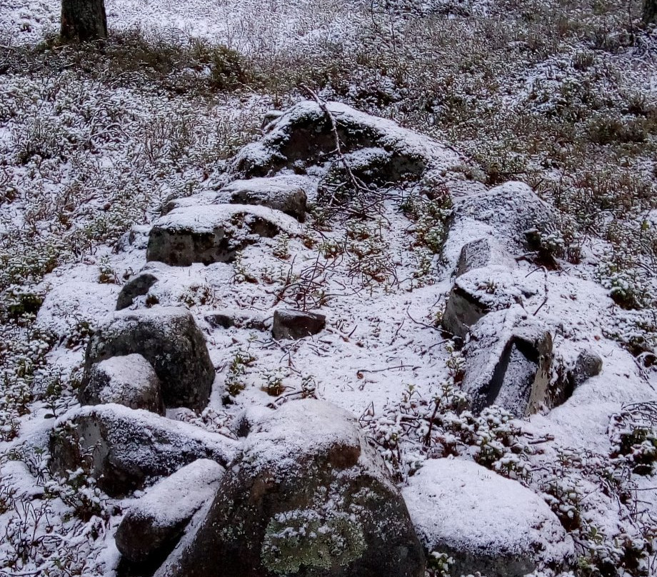 Tervakankaan Kalmisto景点图片