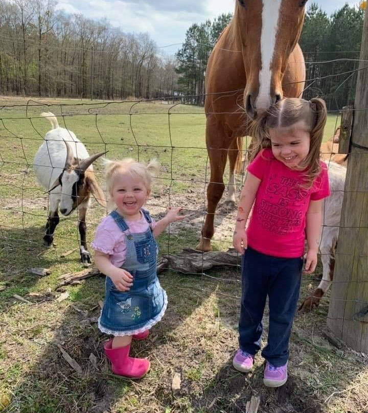 Dorr Farms-Gable必去景点