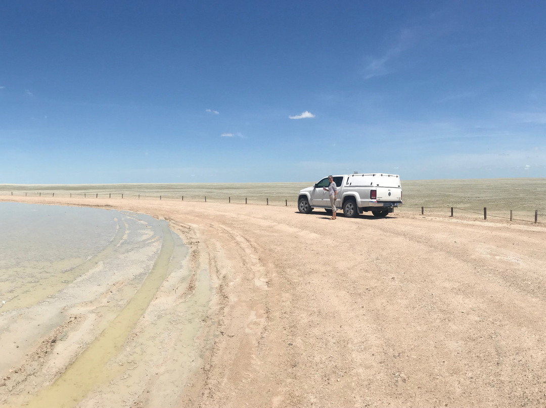 Explora Expedition-纳米比亚埃托沙国家公园必去景点