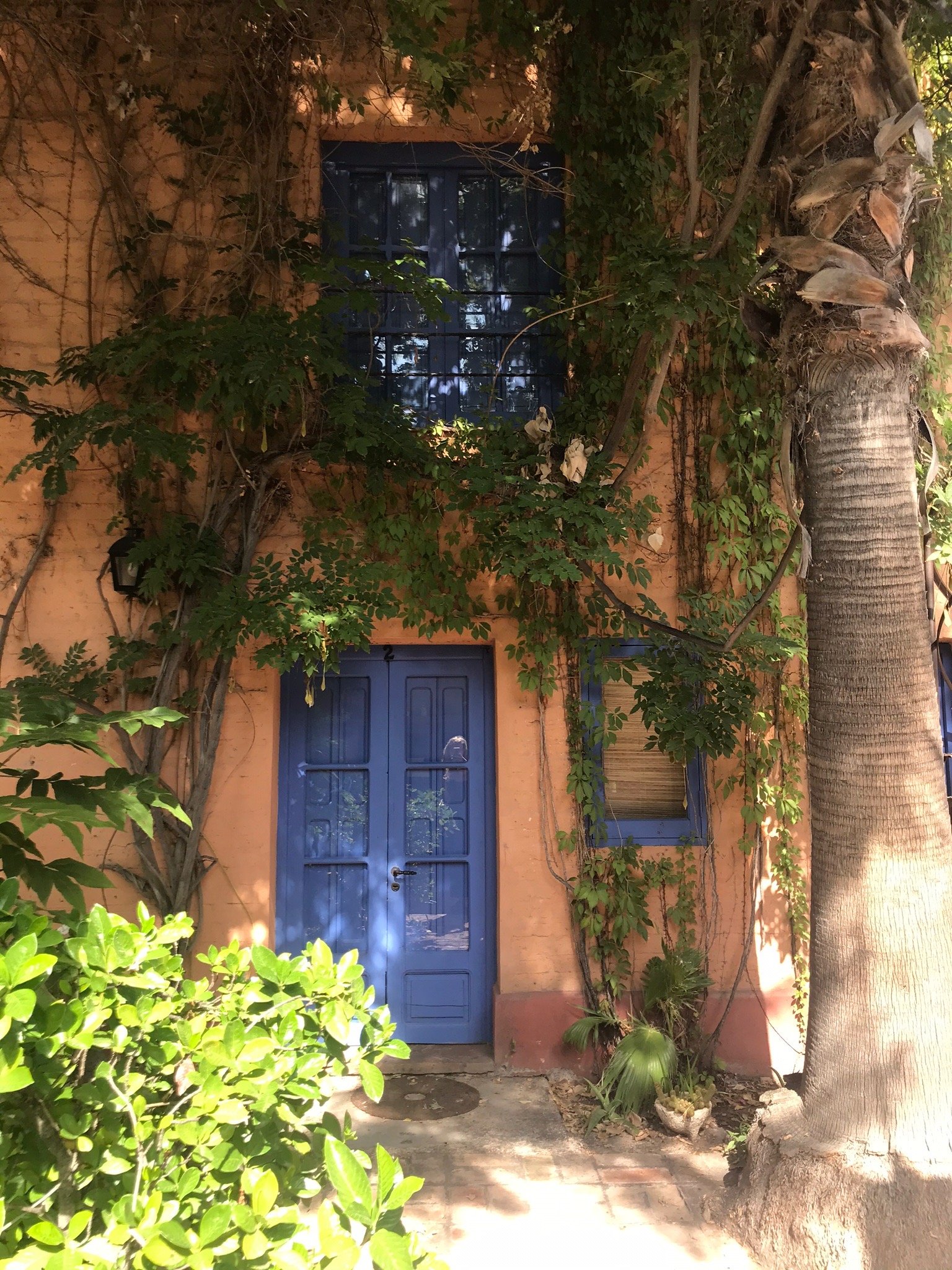 Molino la Tebaida-官方