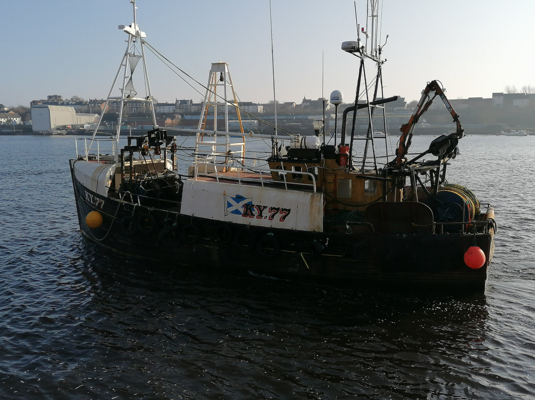 North Shields Fish Quay-North Shields必去景点