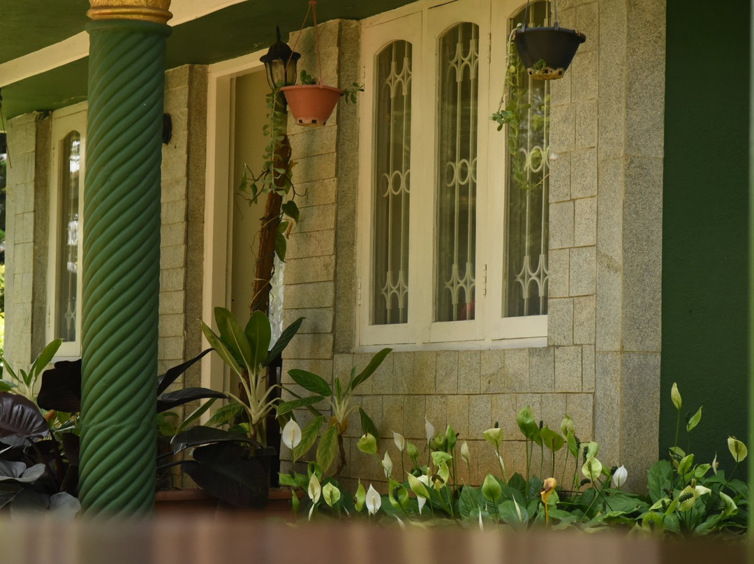 Bird of Paradise Homestay主图