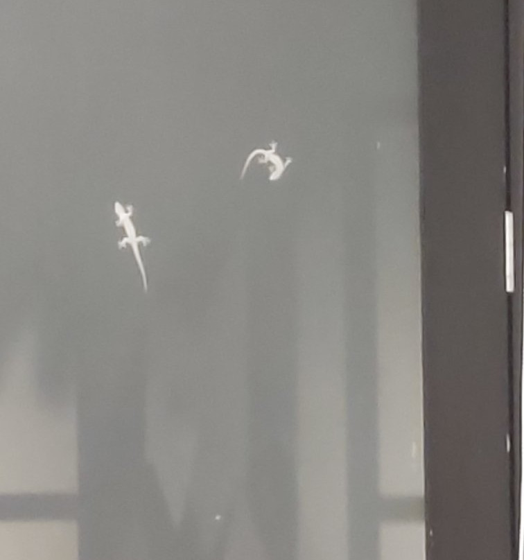 Lakeview Terrace Resort主图