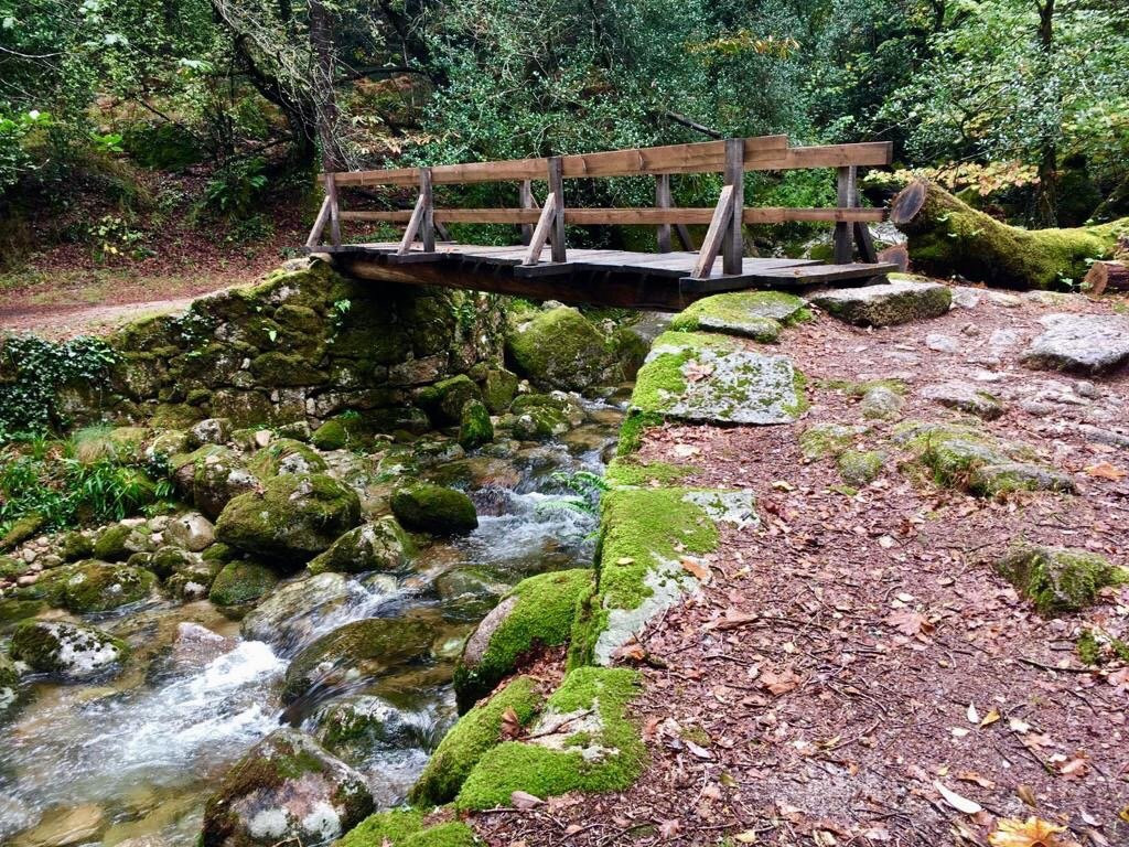 Peneda-Gerês National Park & Northern Portugal Hiking Tours景点图片