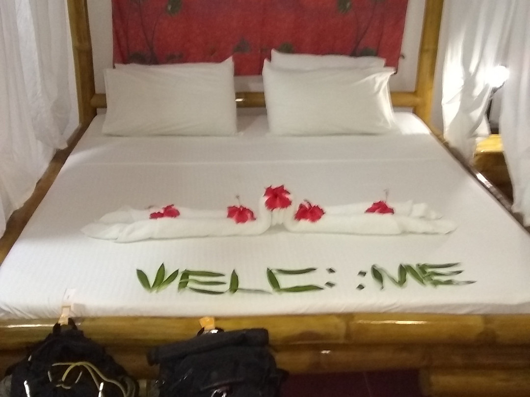 Polaris Beach and Dive Resort主图