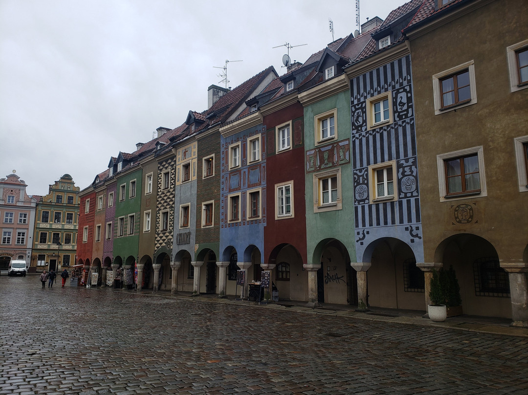 Poznan Urban Adventures景点图片