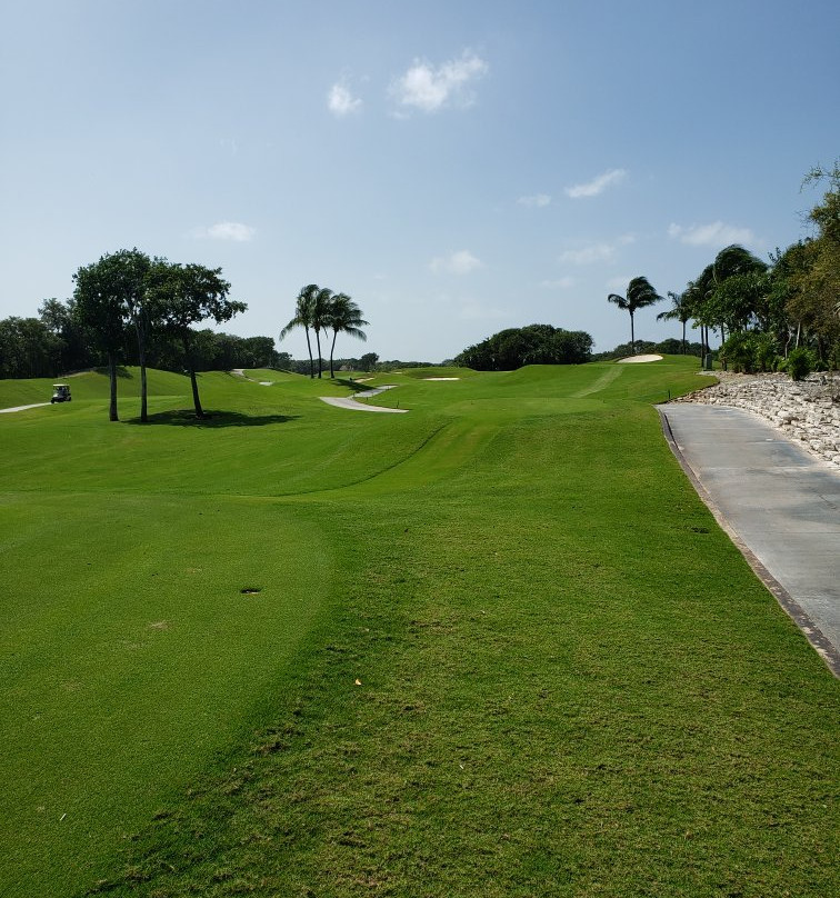 Iberostar Golf Club Playa Paraiso景点图片