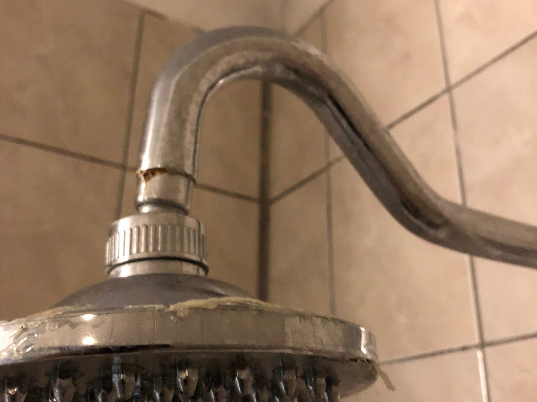 Black Swan Guest House主图