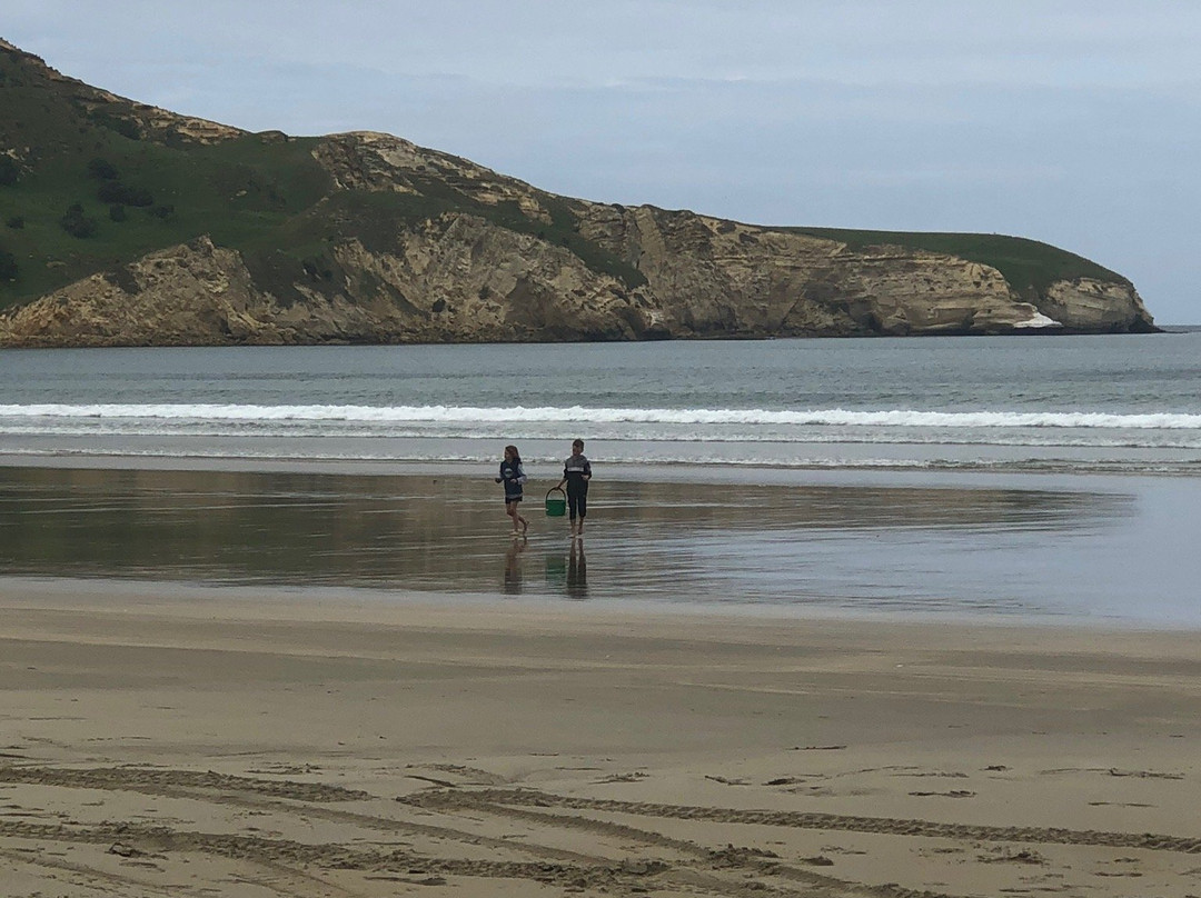 Waikouaiti Beach景点图片
