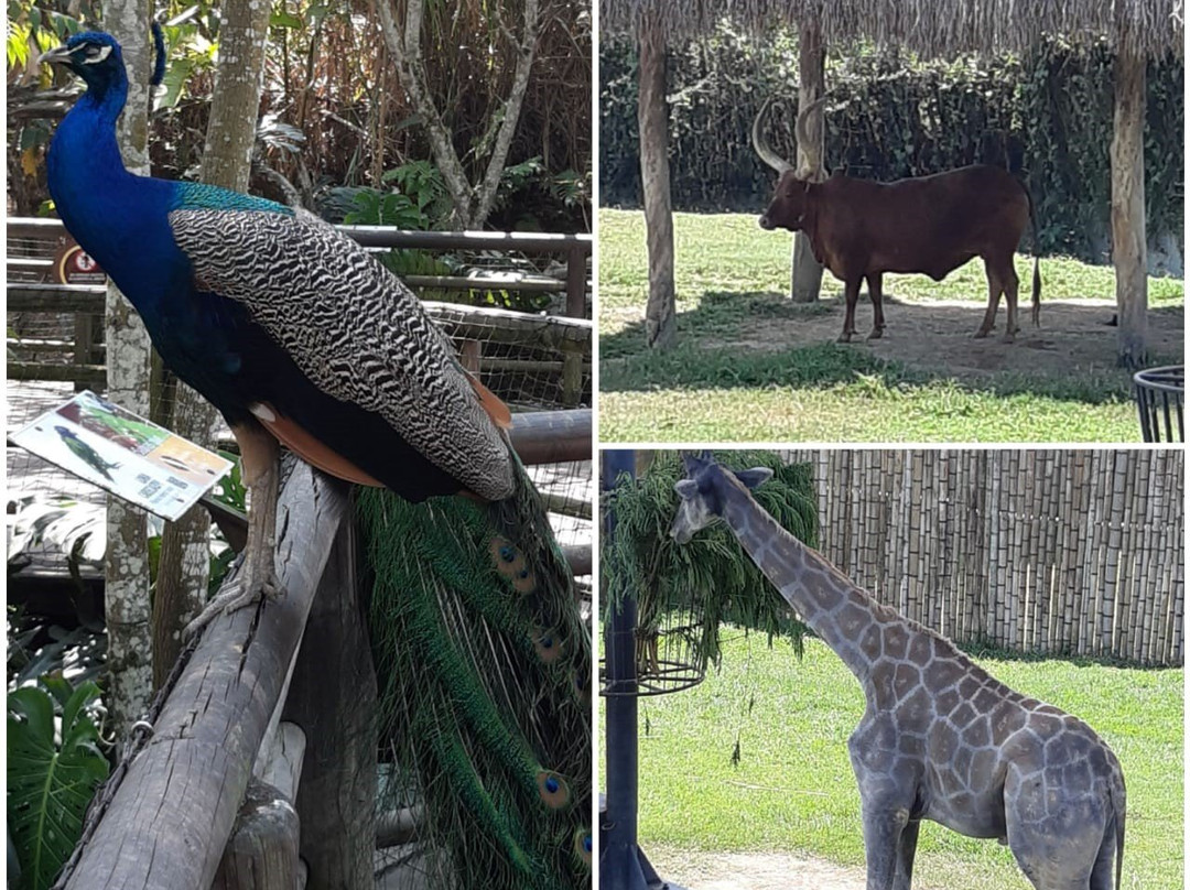 Parque Regional Natural Ucumari景点图片