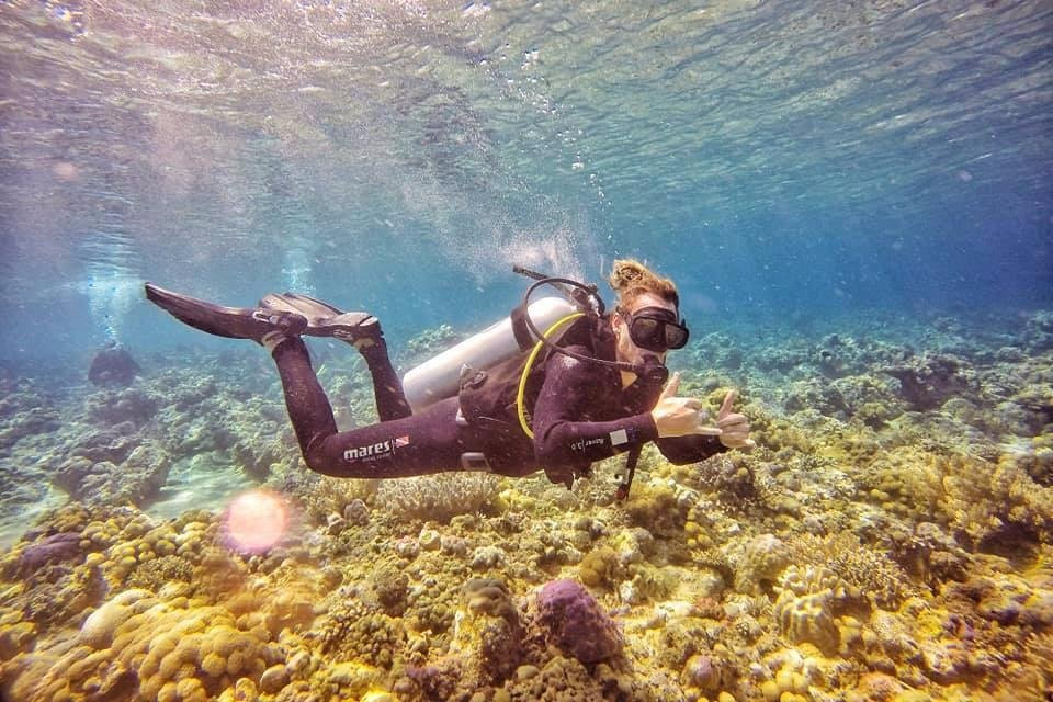 Roctopus Dive Moyo Island景点图片