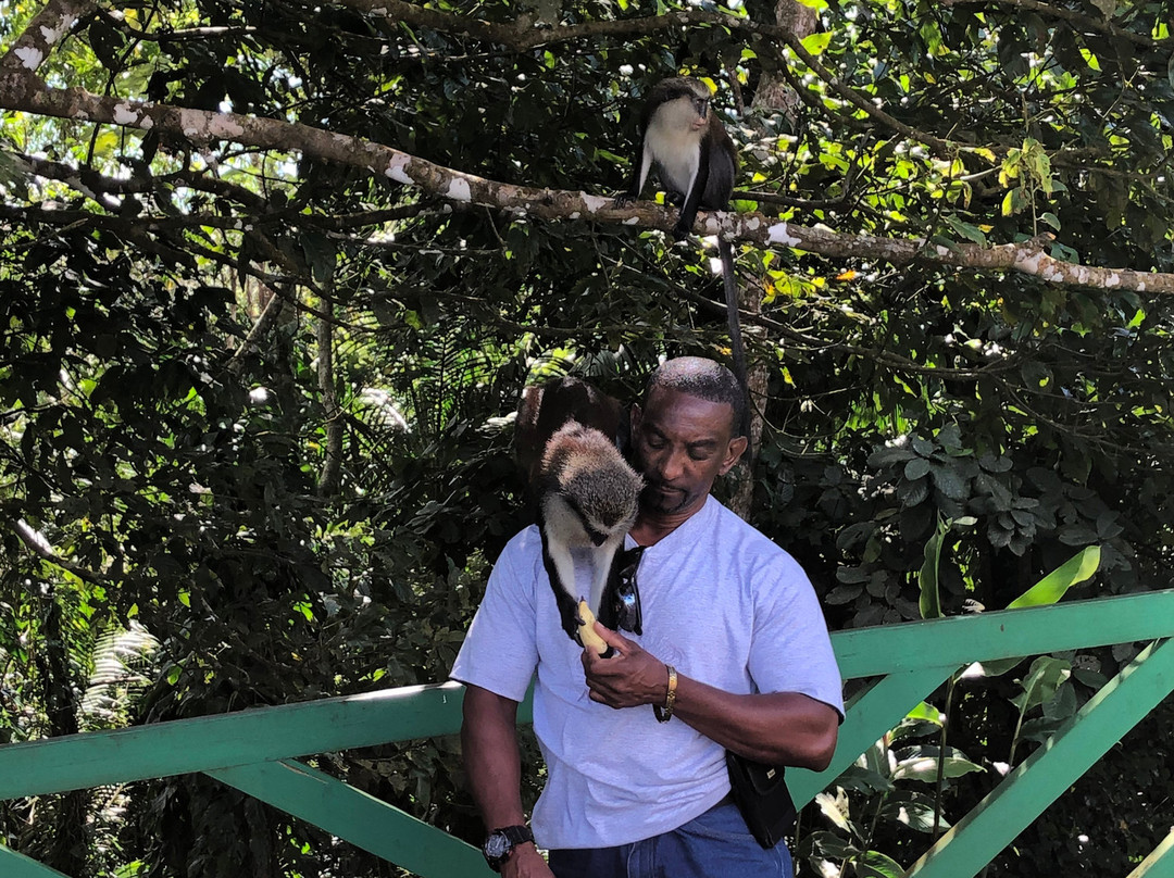 Chris's Tours and Taxi-St. George's必去景点