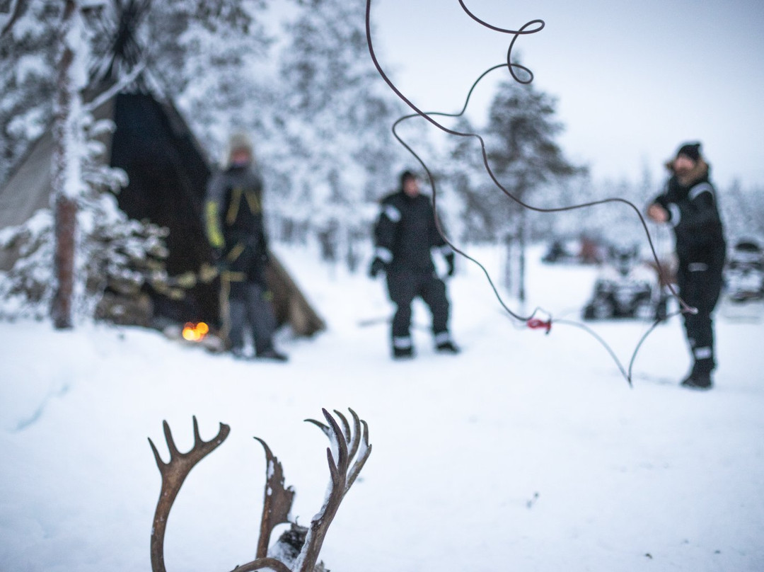 LIVING WITH REINDEER TOURS-Sodankyla必去景点