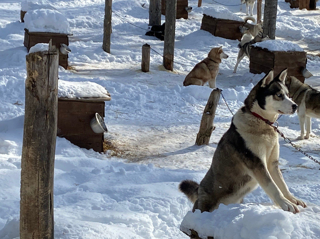Expedition Wolf-Riviere-Rouge必去景点