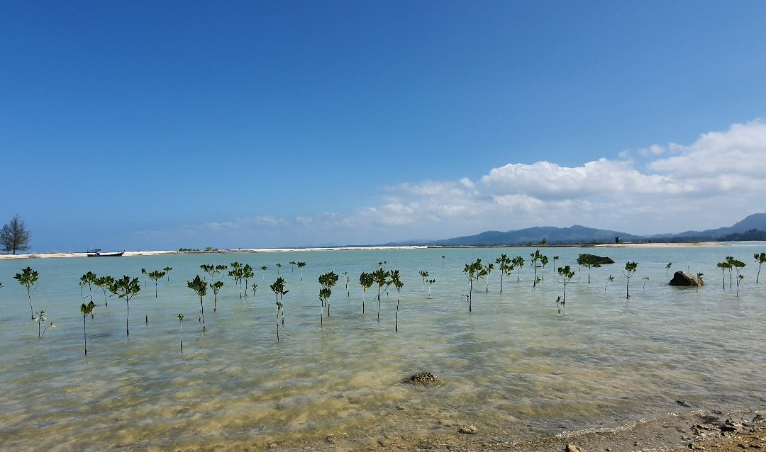 Pakarang Cape (Lem Hua Krung Yai)景点图片