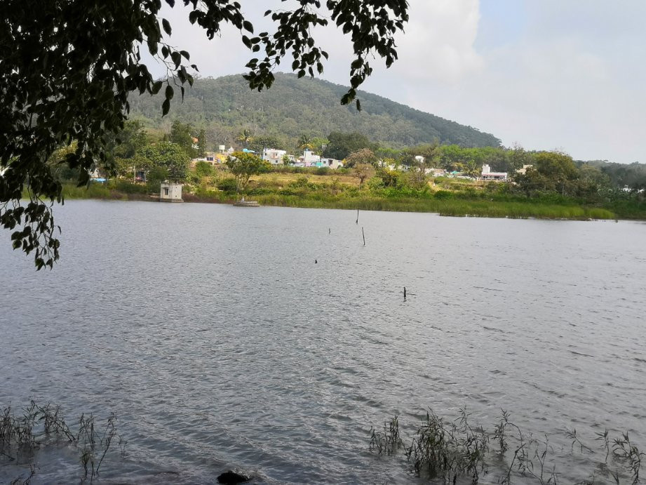Punganoor Lake景点图片