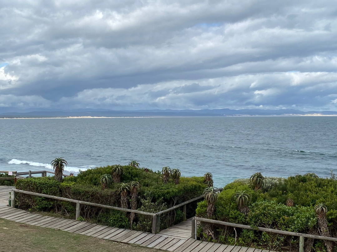 African Perfection Jeffreys Bay主图