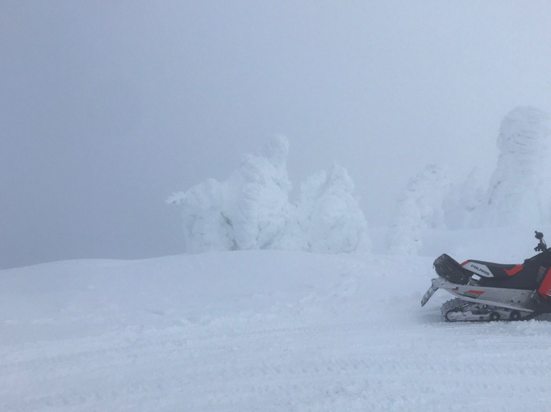 Travelers Snowmobile Rentals-西黄石镇必去景点