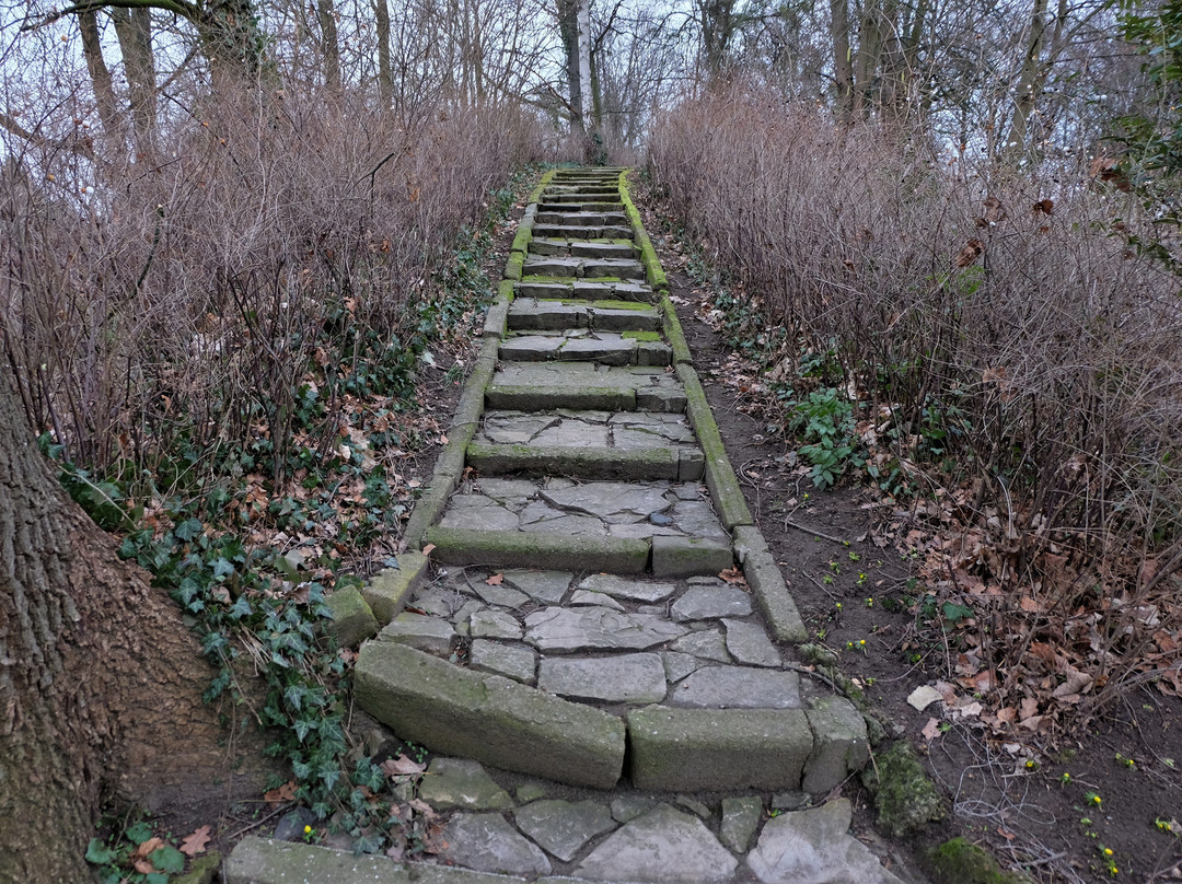 Schoeninger Wallgarten景点图片