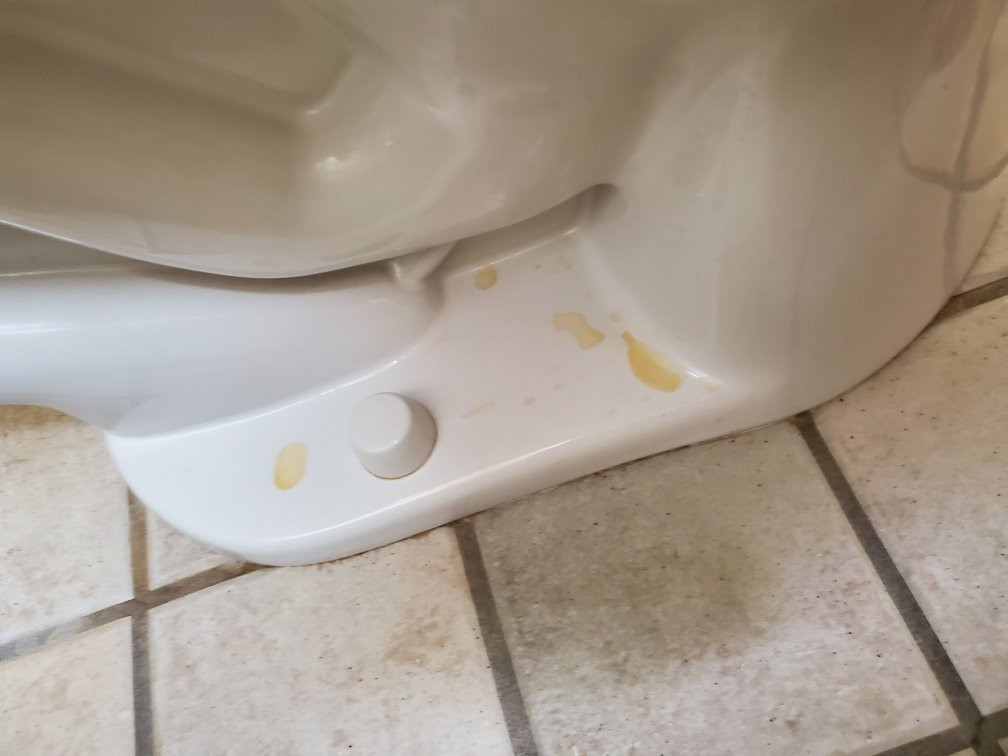 Country Inn & Suites by Radisson, Forest Lake, MN主图