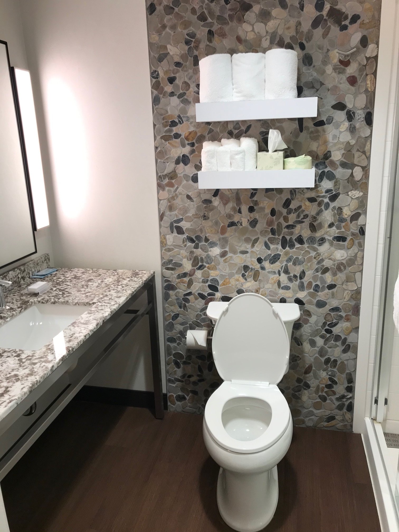 Hilton Garden Inn Detroit Troy-浴室