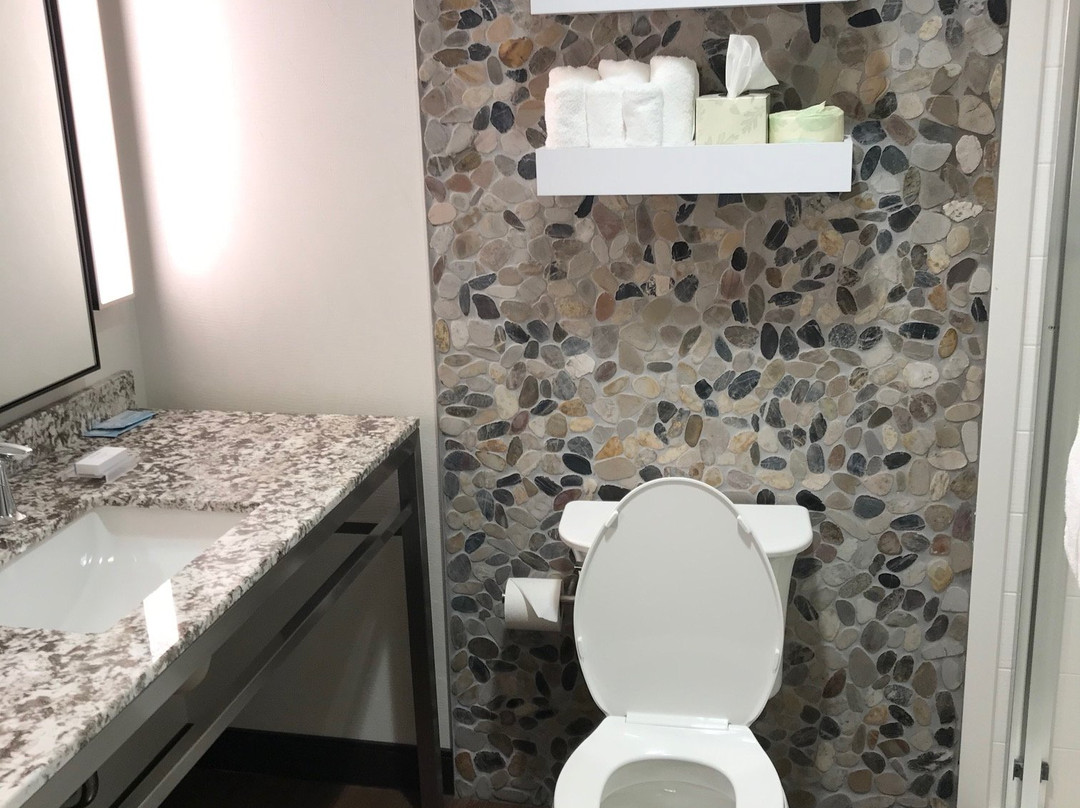 Hilton Garden Inn Detroit Troy主图