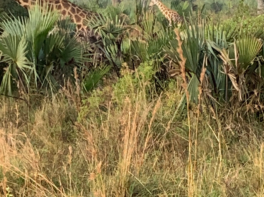 Kyobe Safaris-Masaka必去景点