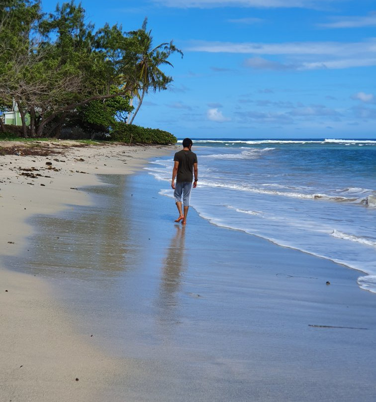 Bath Beach-Bathsheba必去景点